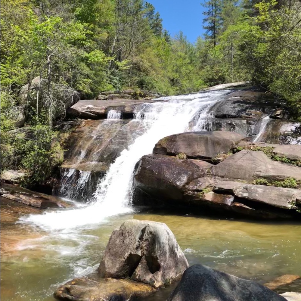 Meet your Posher, Allison